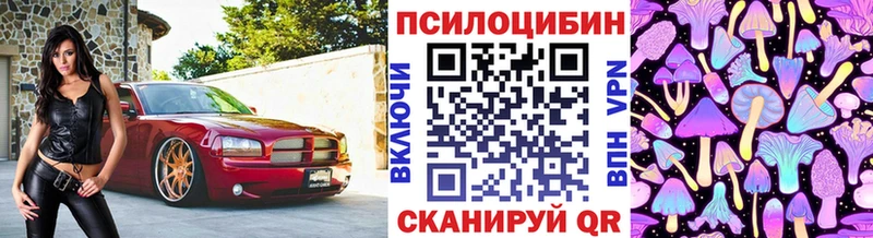 Псилоцибиновые грибы мицелий  Купить  Североморск 